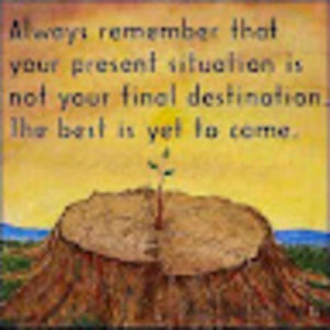 Meet your Posher, Tenzin